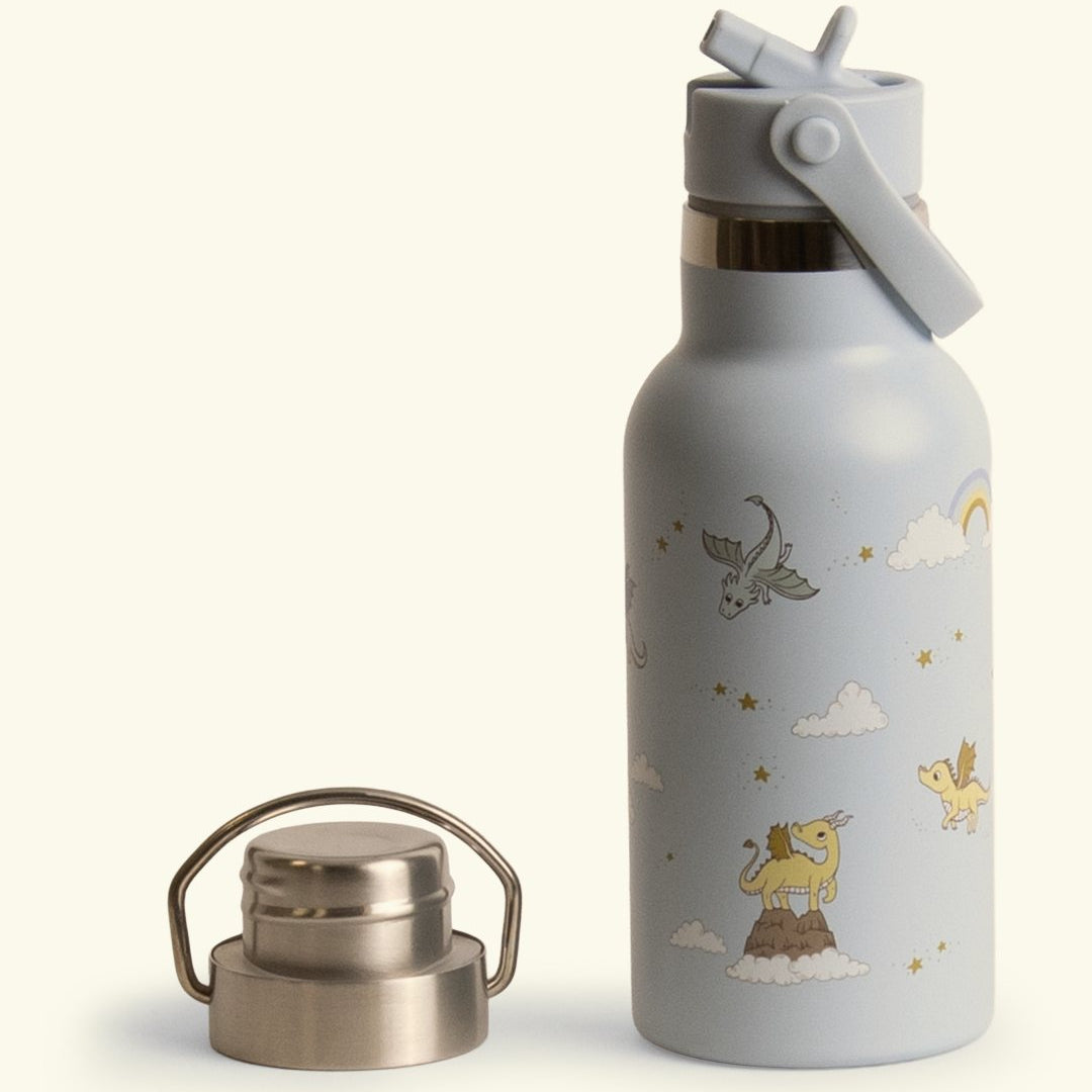 Filibabba stainless steel water bottle, Filibabba roostevabast terasest joogipudel, dreamy dragons