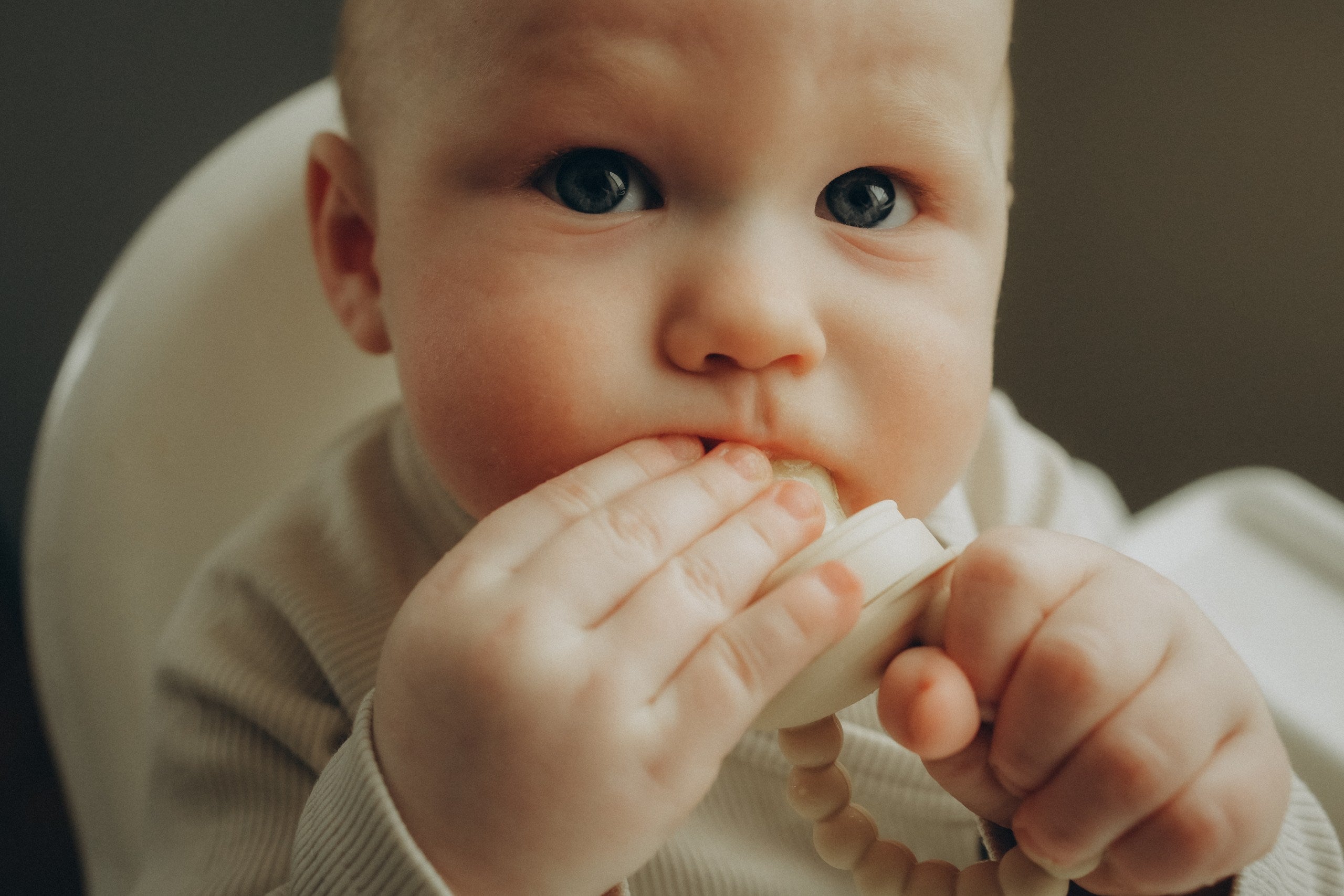 Bebe Bonchic fruit feeder, puuviljalutt, all-groups