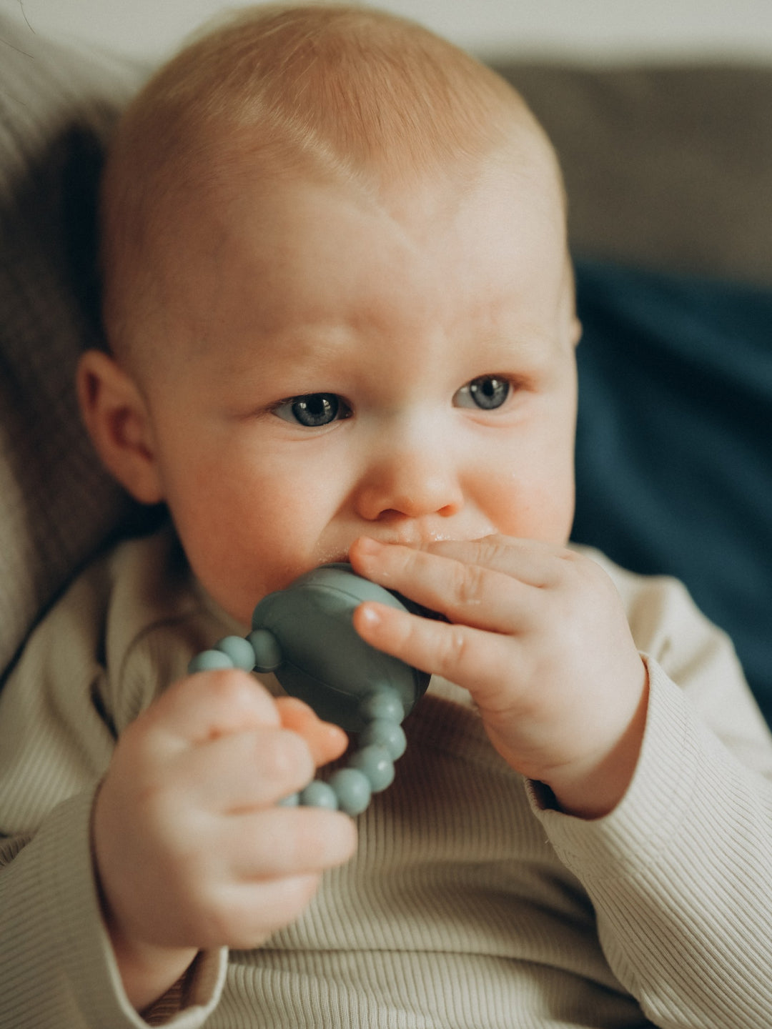 Bebe Bonchic fruit feeder, puuviljalutt, all-groups