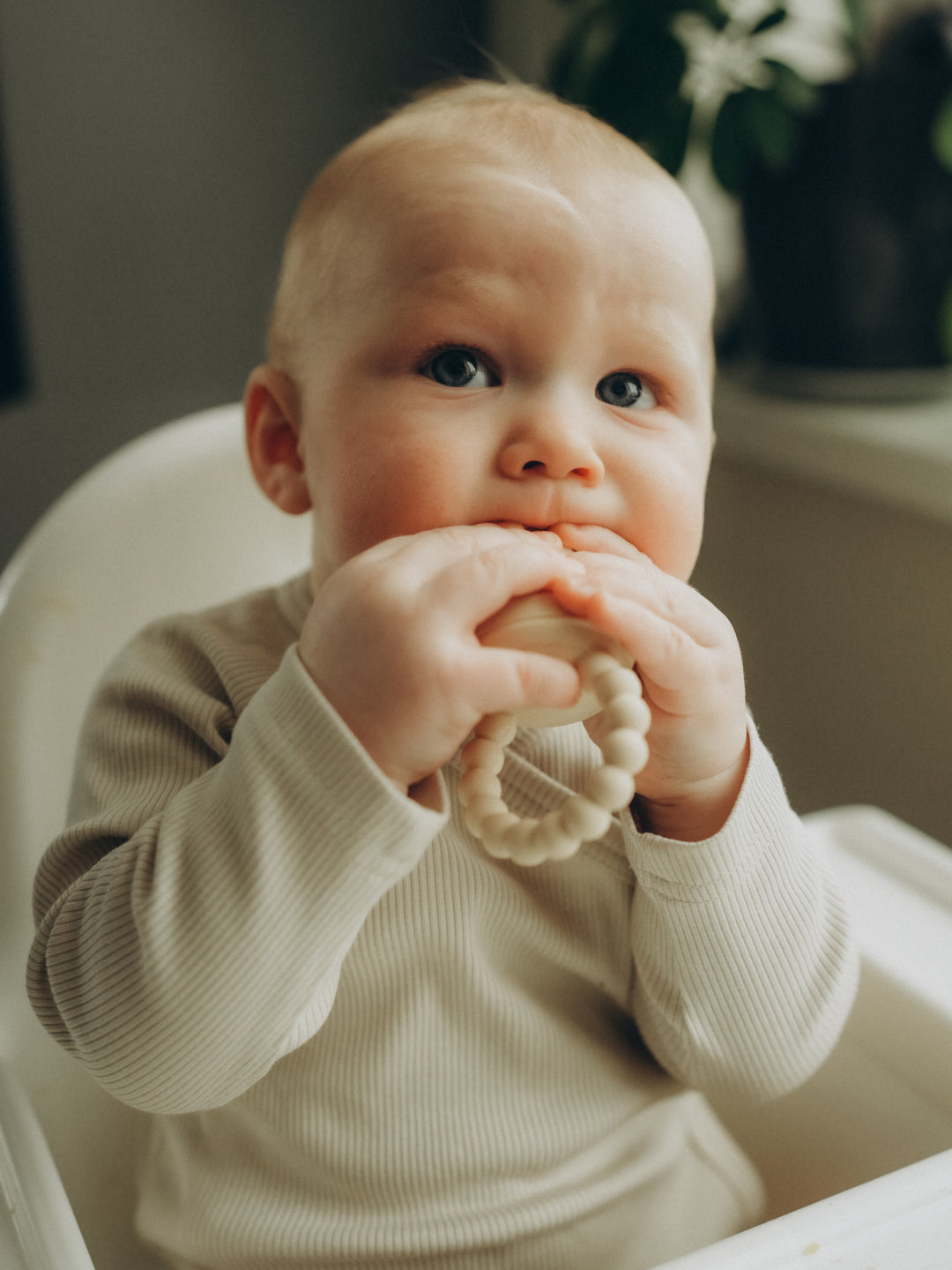 Bebe Bonchic fruit feeder, puuviljalutt, all-groups