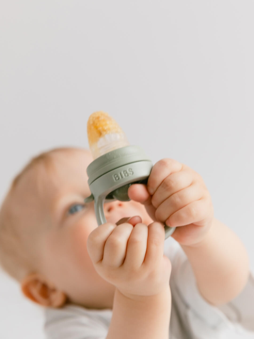 BIBS fruit feeder, baby feeder, BIBS puuviljalutt, all-groups