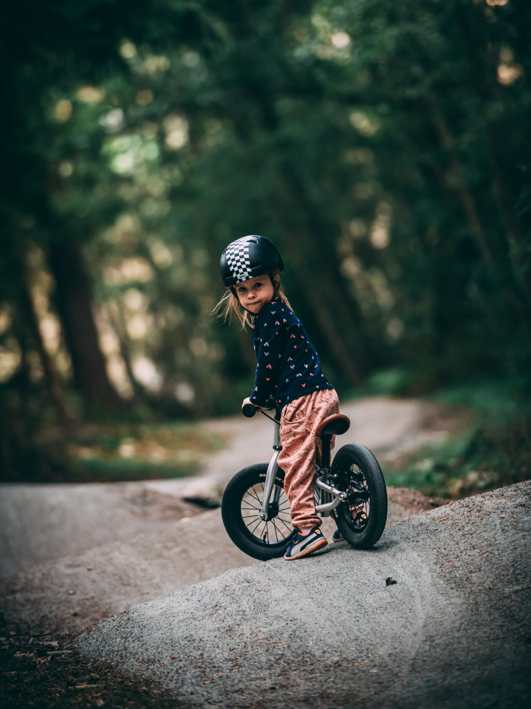 Early Rider Balance Bike Charger, Early Rider jooksuratas Charger, brushed aluminium, all-groups