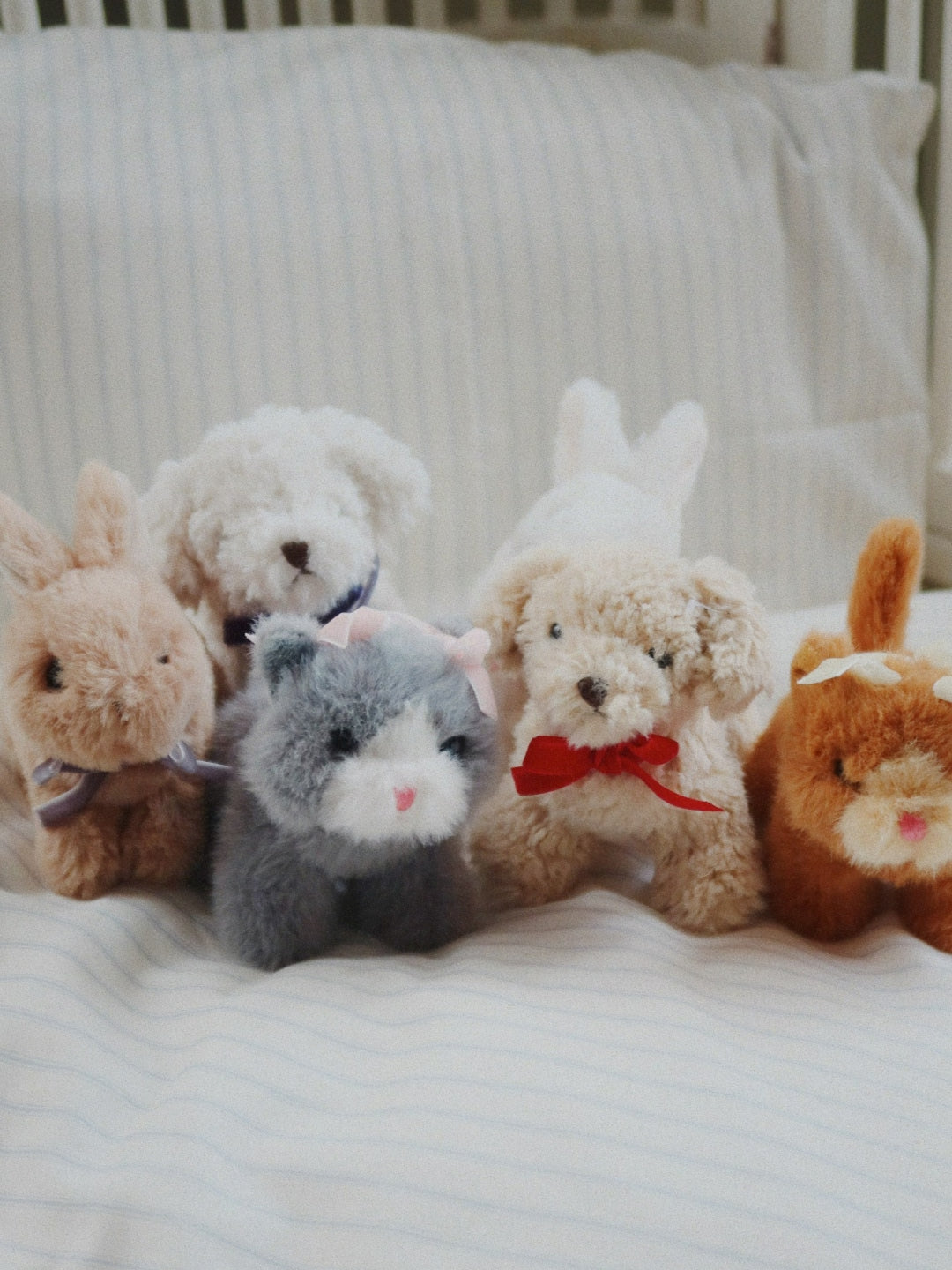 Konges Sløjd baby animals, Konges Sløjd loomapojad, all-groups