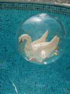 Konges Slojd Beach Ball, Konges Slojd rannapall, Swan Luik, all-groups