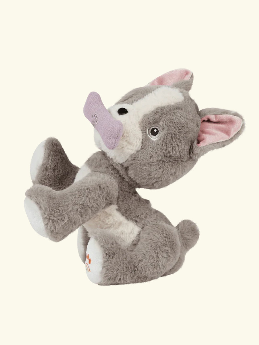 Olli Ella Dinkum Dogs Ginza, Olli Ella Dinkum koer Ginza