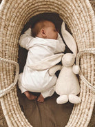 Moonie Organic Bunny, Moonie kaisujänes, uinutavate helidega uneabiline, all-groups