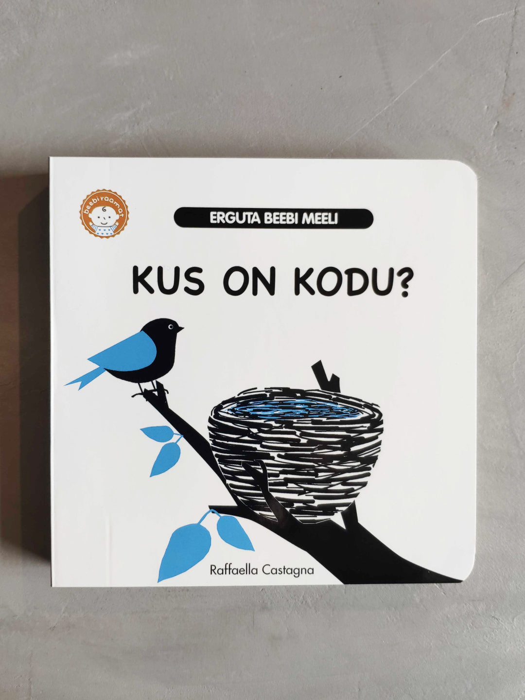 Book, raamat "Kus on kodu"