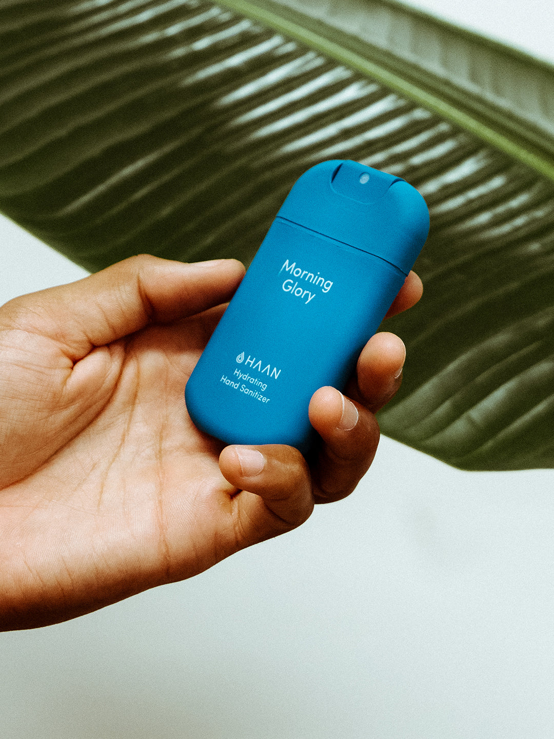 Haan Pocket Hand Sanitizer, Haan Pocket käte desinfitseerija, all-groups