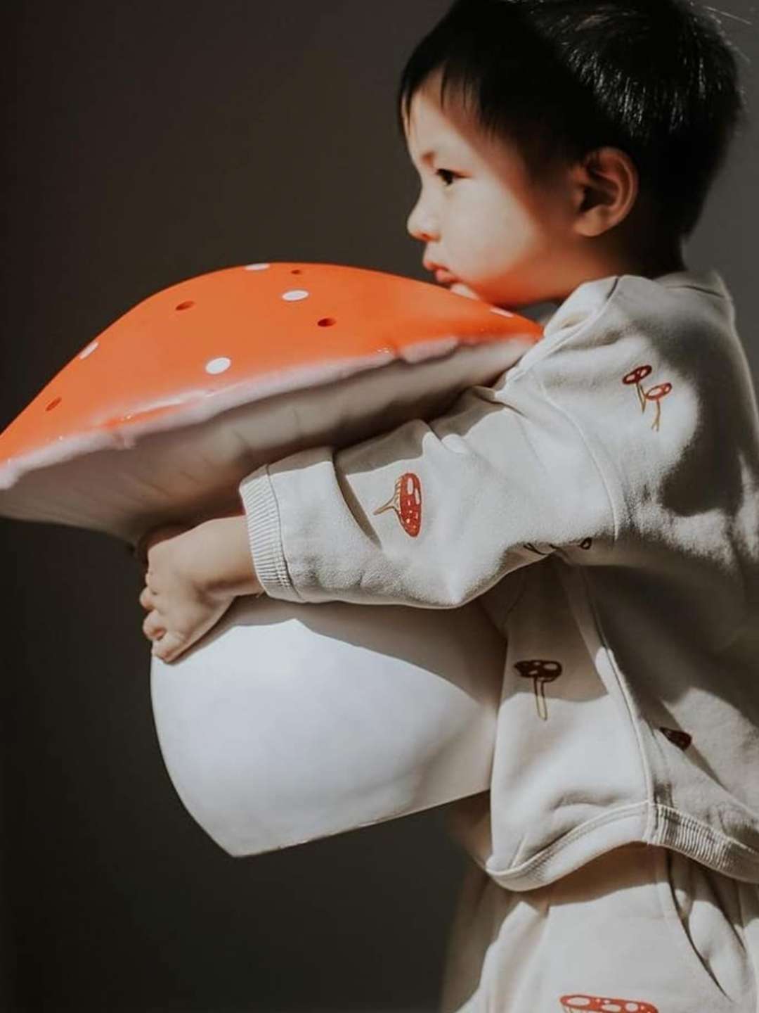 Egmont Toys Mushroom Lamp, Egmont Toys seenelamp, all-groups