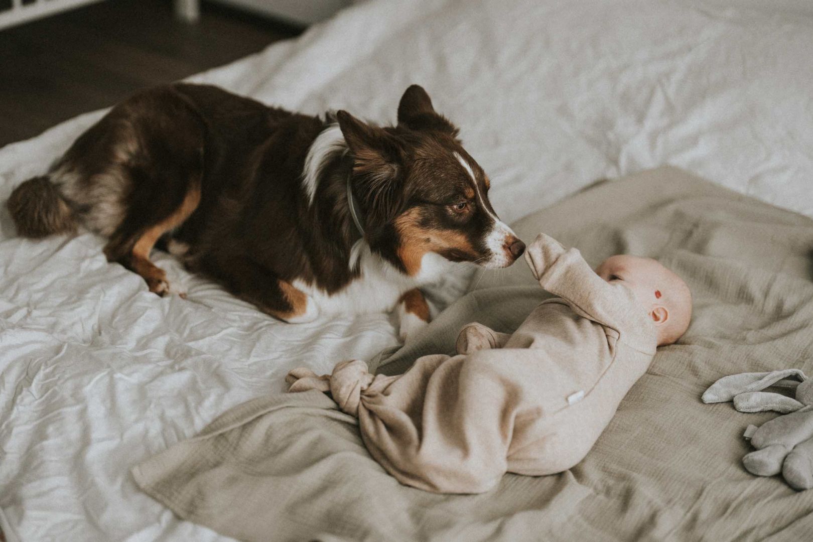 Babyluv Studio merino wool sleeping bag, Babyluv Studio meriinovillane magamiskott beebile