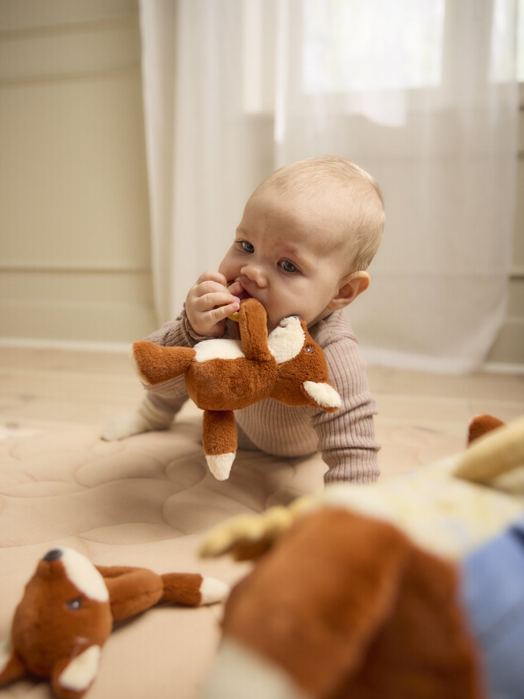Filibabba rättle with teether fox, Filibabba silikoonist närimisrõngaga kõristi rebane, all-groups