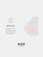 BIBS Colour Anatomical Glow Pacifiers, BIBS heledavad öölutid anatoomilise lutiotsaga, all-groups