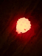 Filibabba LED night light - Henning the hedgehog, Filibabba LED öölamp siil