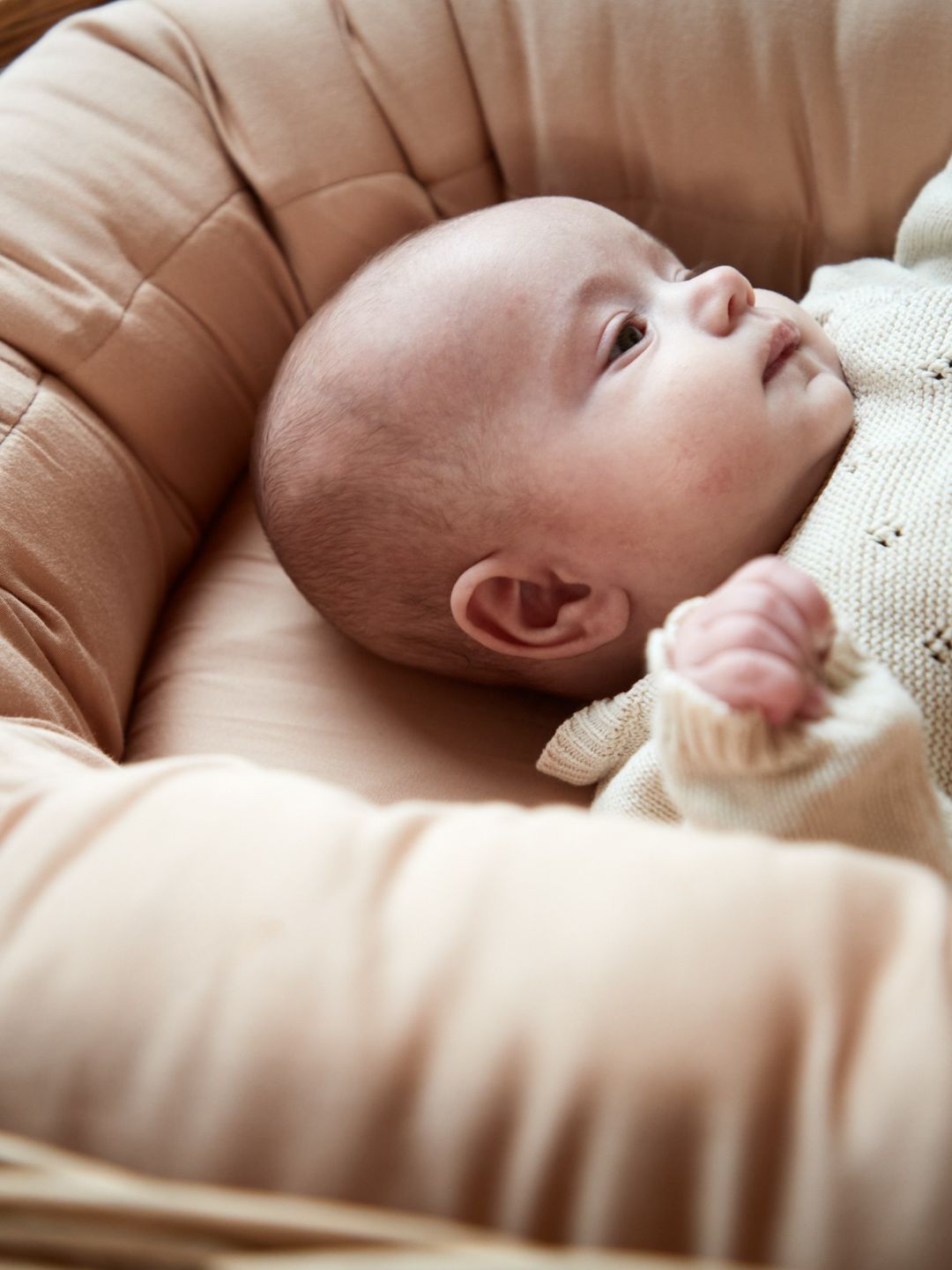 Filibabba baby nest 2nd generation, Filibabba teise põlvkonna beebipesa