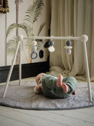 Najell Wooden Toys for Wooden Baby Gum Arch, Najell puidust mänguasjad mängukaarele, all-groups