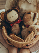 Olli Ella Cozy Dinkum Doll, Olli Ella Cozy Dinkum nukk, teddy twiggy