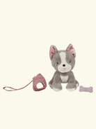 Olli Ella Dinkum Dogs Ginza, Olli Ella Dinkum koer Ginza