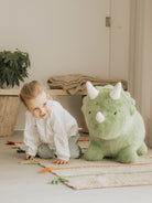 Wild&Soft Soft bouncy Dino, Wild&Soft pehme hüppeloom Dinosaurus