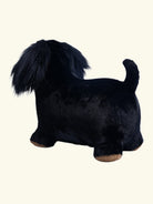 Wild&Soft bouncy Sausage Dog, Wild&Soft pehme hüppeloom taksikoer